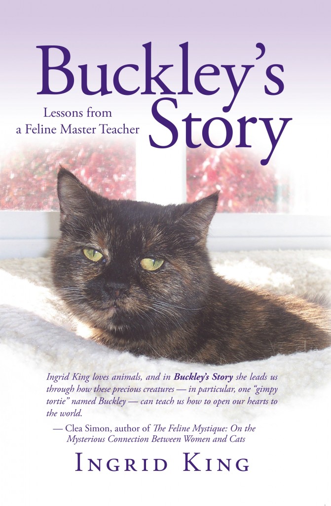 Buckley's Story Buckley's Story