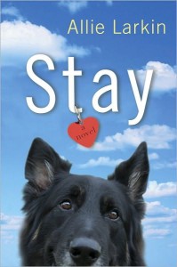 Stay