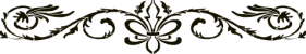 Divider 5 Divider 5