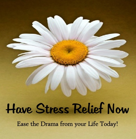 HaveStressRelief_logo_logo_medium