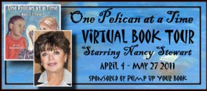 One Pelican tour banner