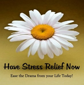 Have Stress Relief Now virtual Website Tour