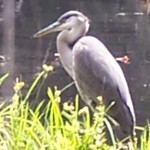 Jane - getway photo