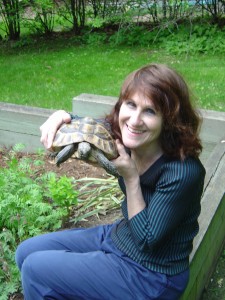 Margaret turtle