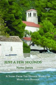 Just a Few Seconds Virtual Book Tour