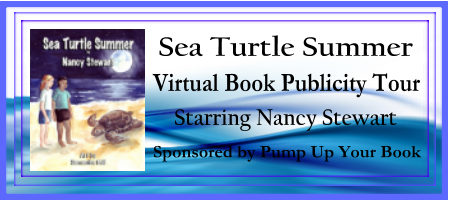 Sea Turtle banner