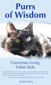 Purrs of Wisdom