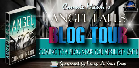 Angel Falls banner