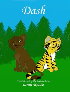 Dash Cover 2