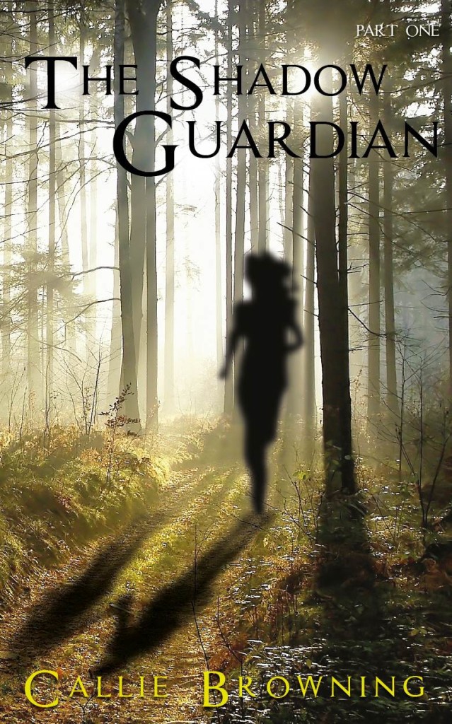 The Shadow Guardian