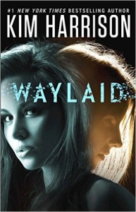 Waylaid