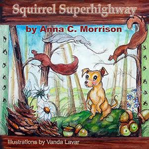 squirrel-superhighway
