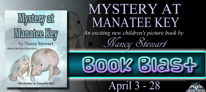 Mystery at Manatee Key banner