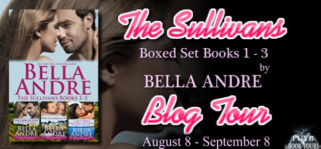 The Sullivans Boxed Set Banner 2