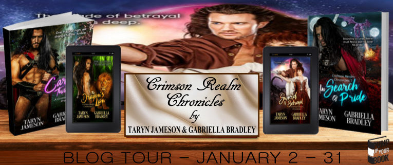 Crimson Realm Chronicles Banner 2