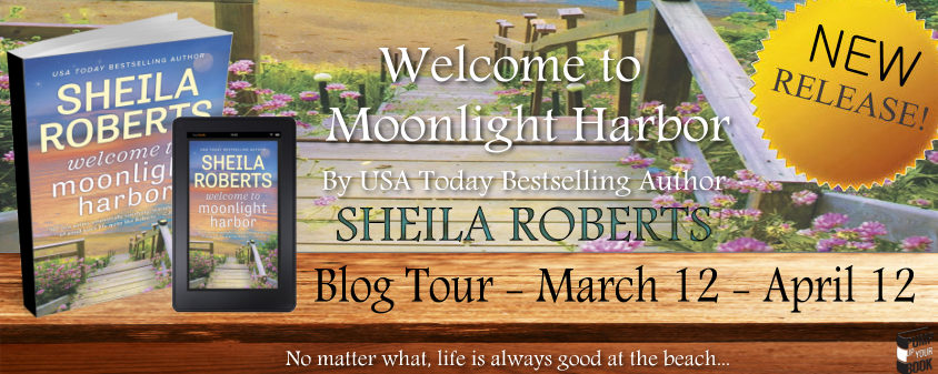 Welcome to Moonlight Harbor banner