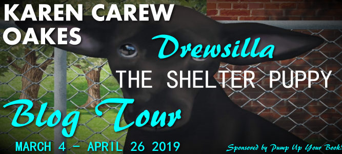 Drewsilla The Shelter Puppy banner