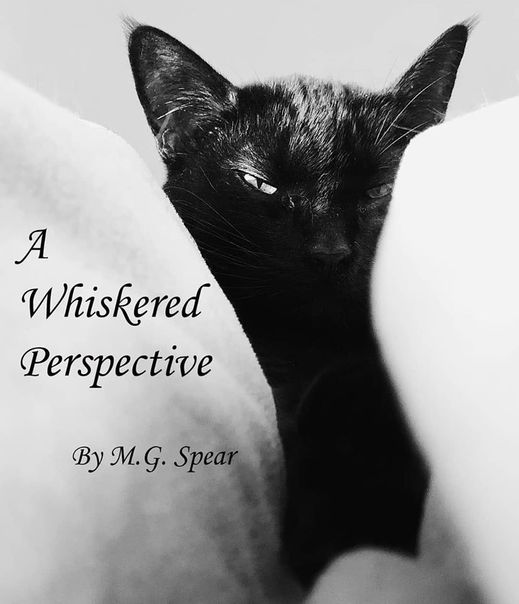 A Whiskered Perspective