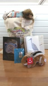Elanora and the Salt Marsh Mystery gift bag