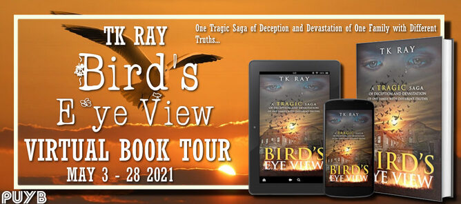 Bird's Eye View banner