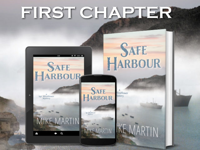 Safe Harbour first chapter