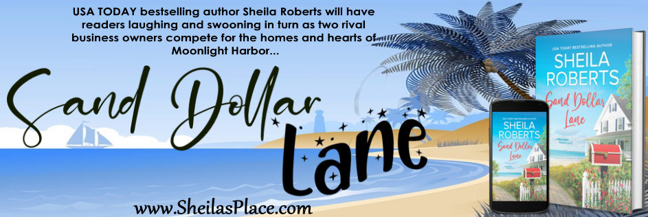 Sand Dollar Lane banner sm